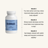 Organic Reishi Mushroom Capsules | Natural Calm Support