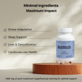 Organic Reishi Mushroom Capsules | Natural Calm Support