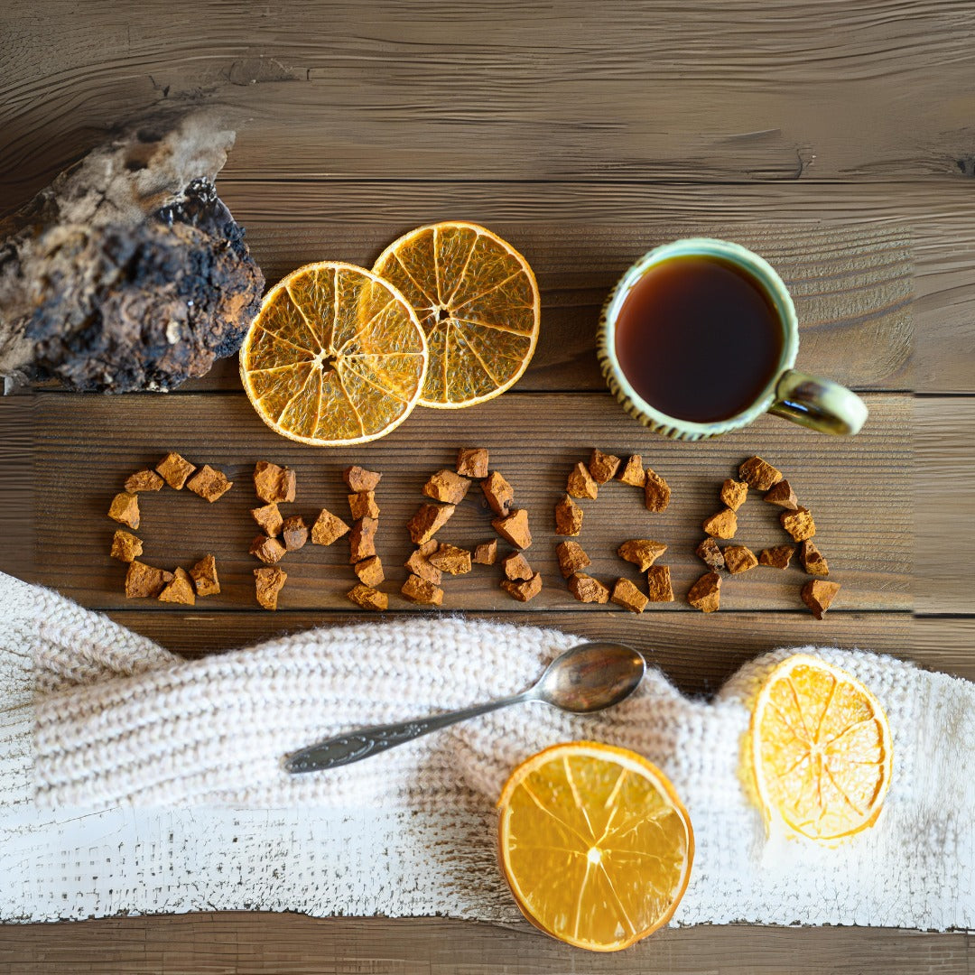 Chaga written with pieces of Chaga mushrooms on a table with a tea cup and some dried orange slices