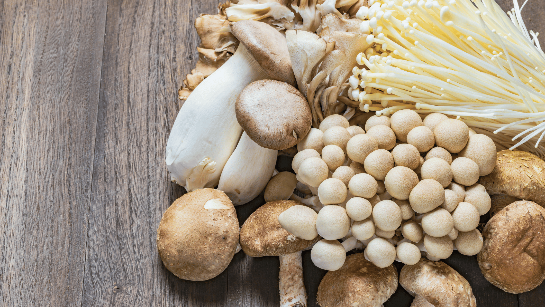 Functional mushrooms used in the Wellmush natural supplements