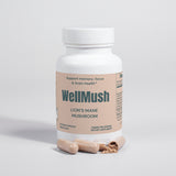 Organic Lion’s Mane Mushroom capsules | Natural focus support