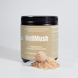 Organic Fermented Mushroom Blend | Natural wellness support