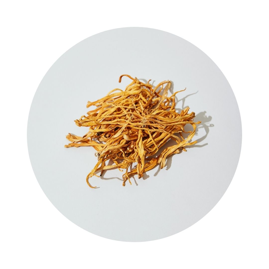 cordyceps mushrooms on white surface