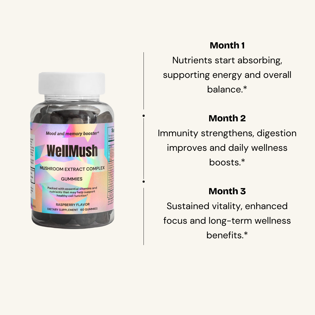 WellMush Mushroom Raspberry Gummies benefits during the first 3 months