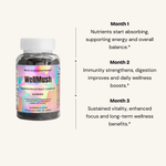 WellMush Mushroom Raspberry Gummies benefits during the first 3 months