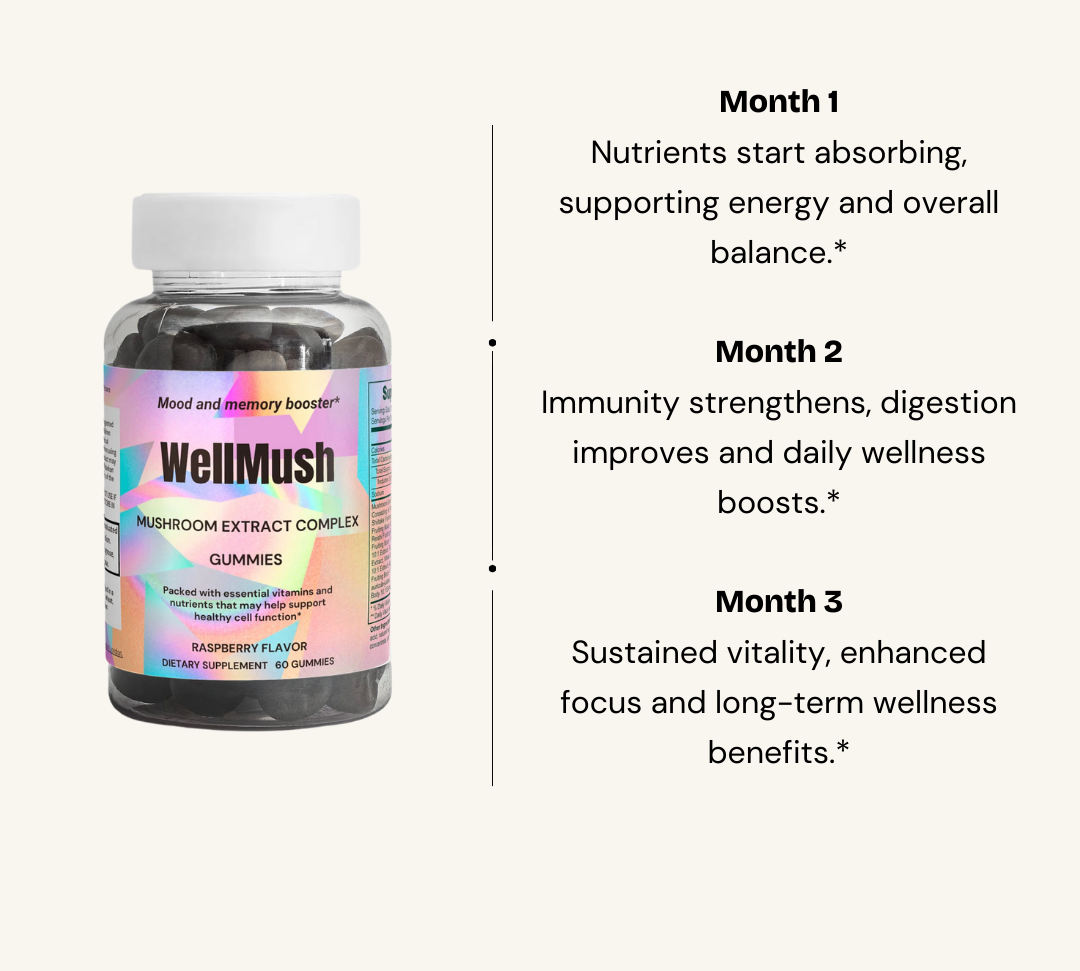 WellMush Mushroom Raspberry Gummies benefits during the first 3 months