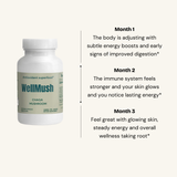 Organic Chaga Mushroom Capsules | Natural Antioxidants