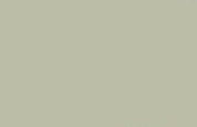 color bbbda7 for background purpous only 