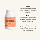 Organic Cordyceps Mushroom Capsules | Organic Energy Support