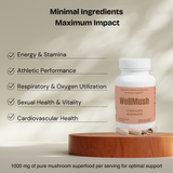 Organic Cordyceps Mushroom Capsules | Organic Energy Support