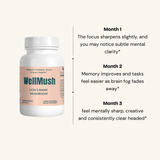 Organic Lion’s Mane Mushroom Capsules | Natural Focus Support