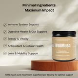Organic Fermented Mushroom Blend