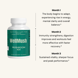 mushroom_10x_benefits x 3 months described